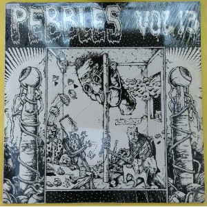 Various PEBBLES Vol. 13 (AIP Records – AIP 10013) USA 1984 compilation LP (Garage Rock, Acid Rock) vinyl: NM (mint-) | cover: NM (mint-)